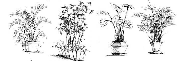 手繪2-6.jpg